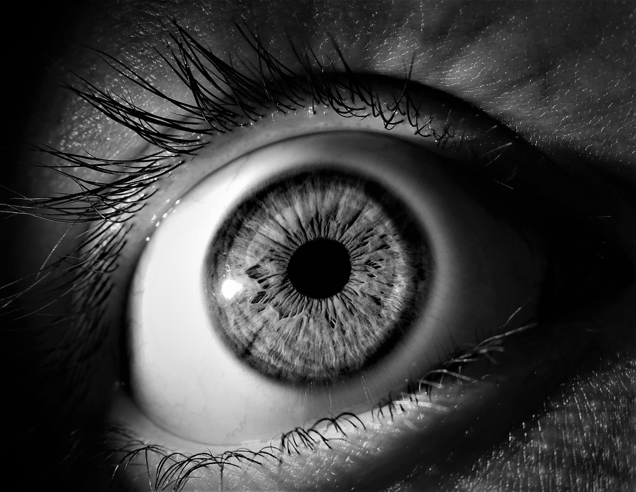 7 Risk Factors For Glaucoma | Blindness Prevention 7 eye trauma