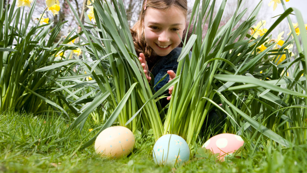 egg hunt kids