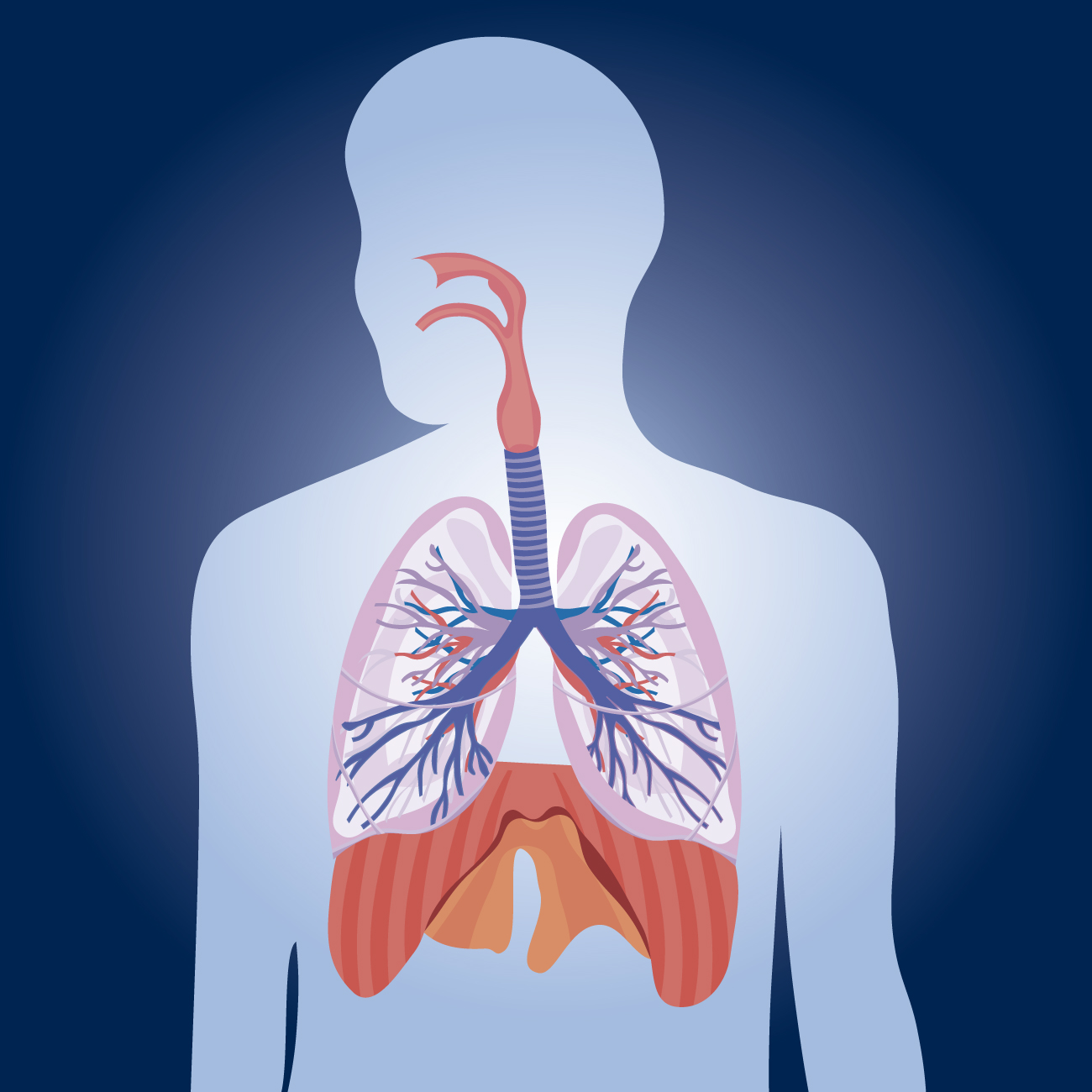 Chronic Obstructive Pulmonary