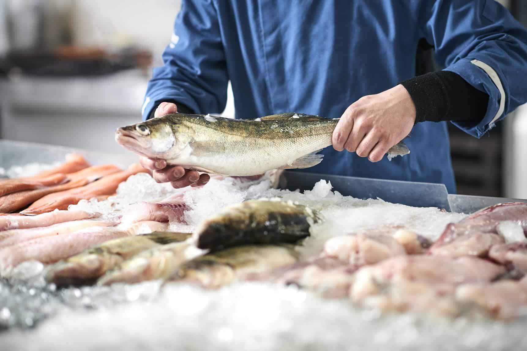 противовоспалительная пища для рыбы